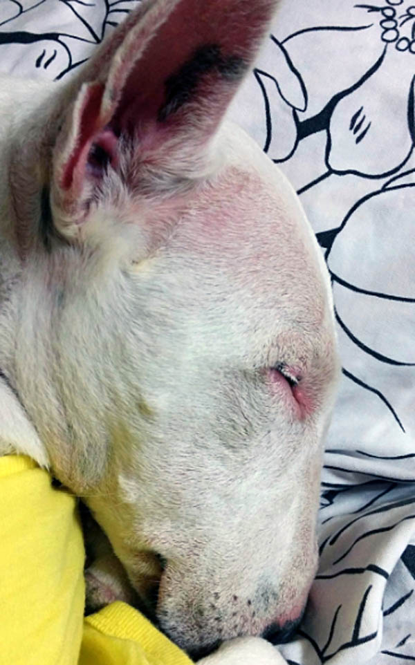 f:id:masami_takasu:20180211023837j:plain f:id:masami_takasu:20180211023837j:plain