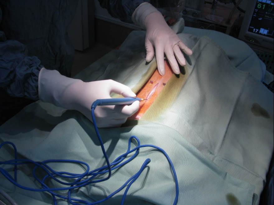 f:id:masami_takasu:20180212191618j:plain f:id:masami_takasu:20180212191618j:plain