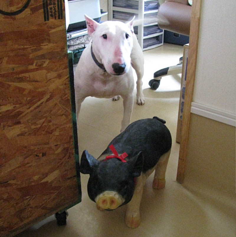 f:id:masami_takasu:20180213010237j:plain f:id:masami_takasu:20180213010237j:plain