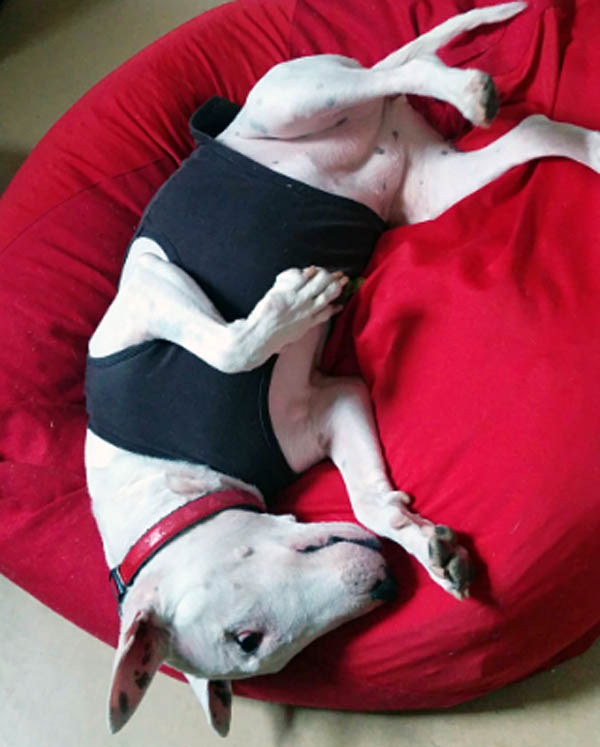 f:id:masami_takasu:20180213020545j:plain