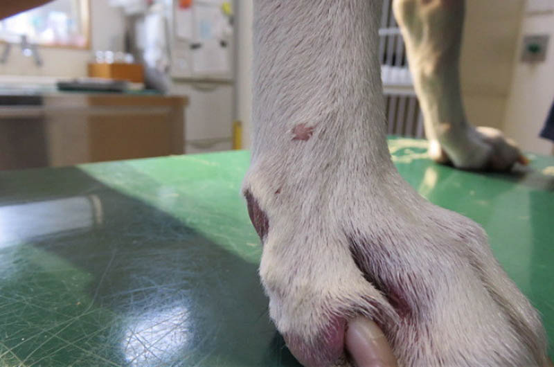 f:id:masami_takasu:20180215013356j:plain