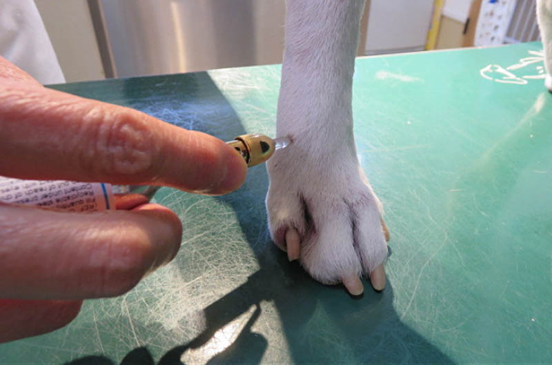 f:id:masami_takasu:20180215013400j:plain