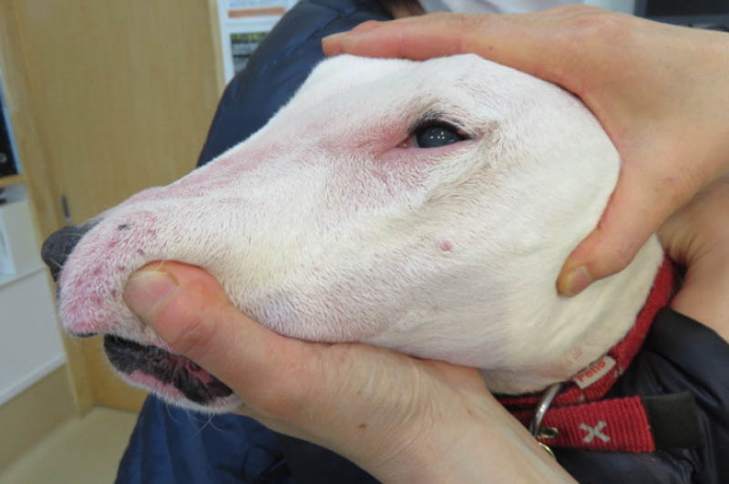 f:id:masami_takasu:20180215013403j:plain