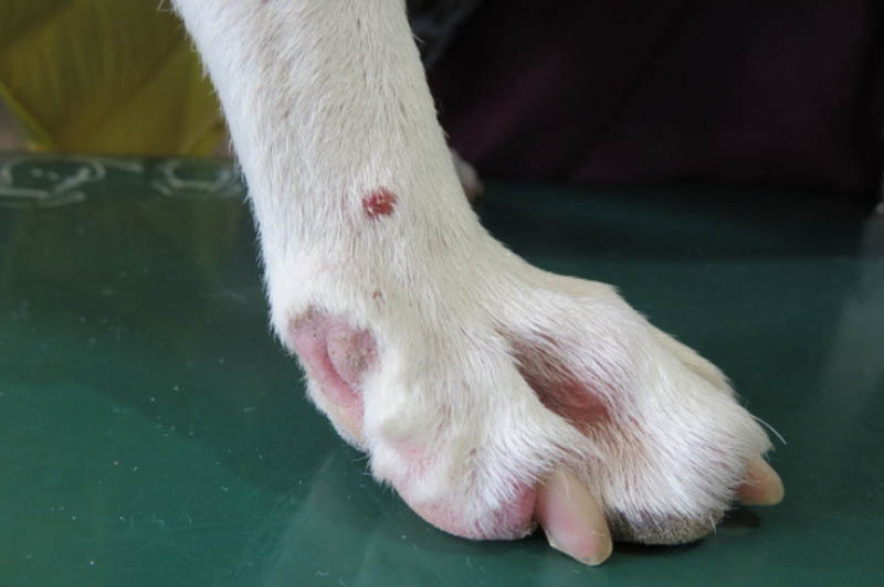 f:id:masami_takasu:20180215013413j:plain