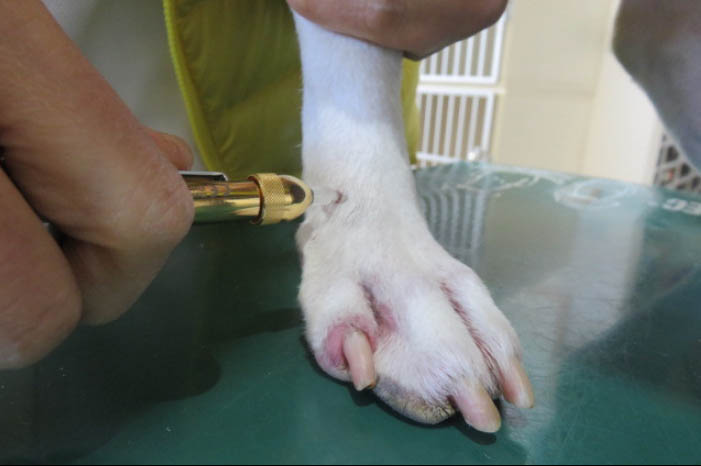 f:id:masami_takasu:20180215015159j:plain