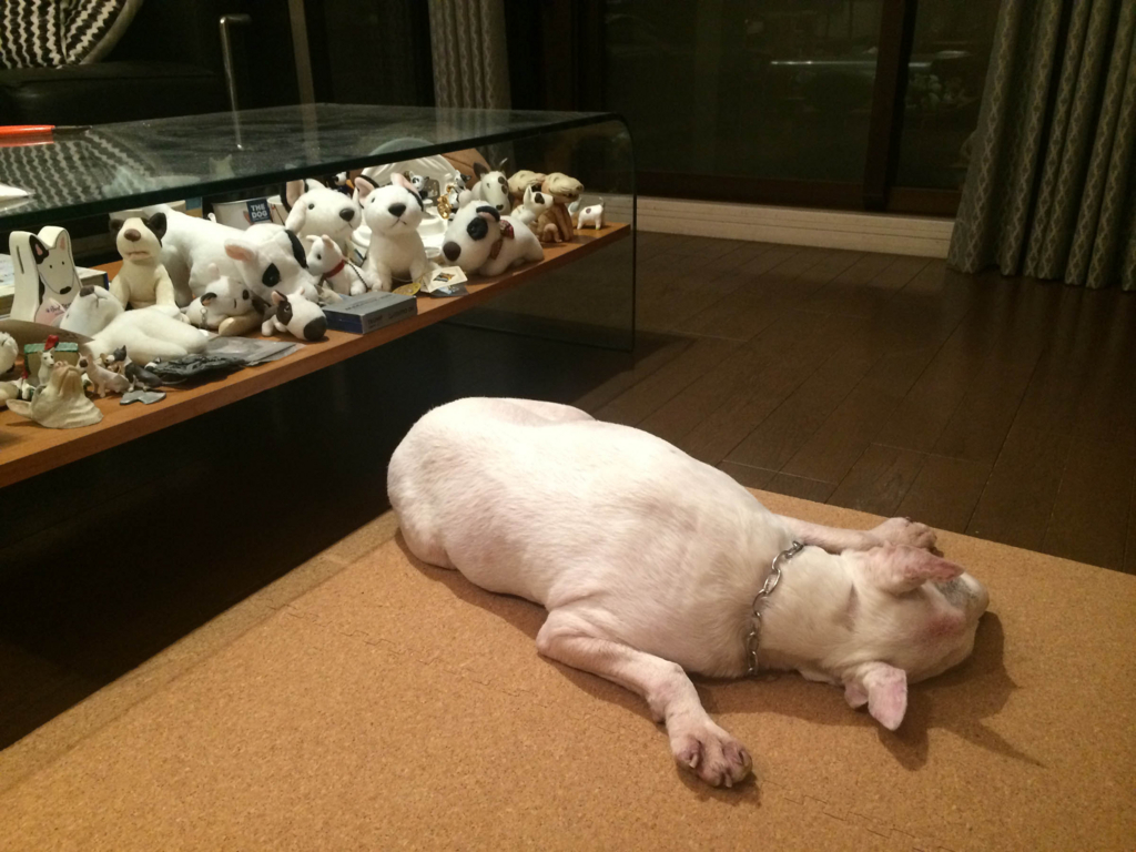 f:id:masami_takasu:20180218033935j:plain