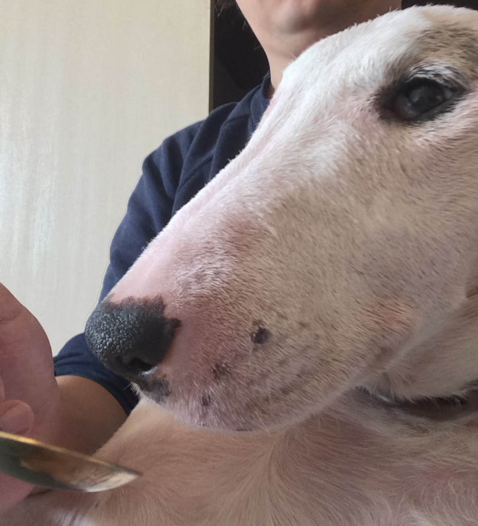 f:id:masami_takasu:20180219001028j:plain