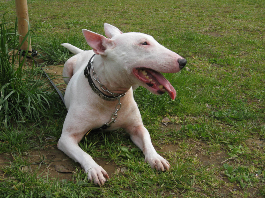 f:id:masami_takasu:20180219101311j:plain