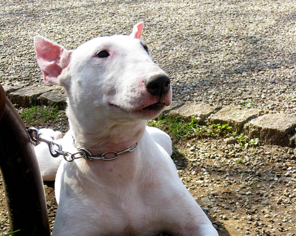 f:id:masami_takasu:20180219101915j:plain