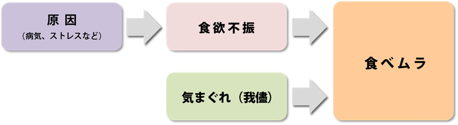 食べムラ_食欲不振_関係図