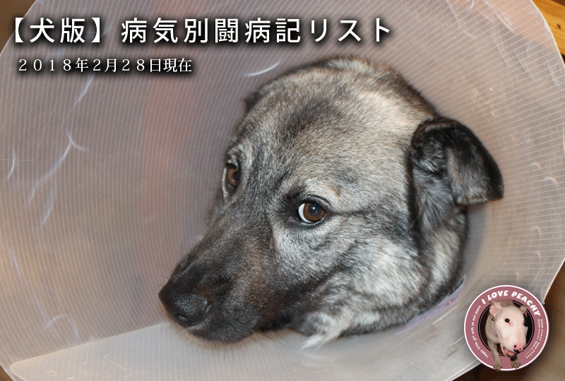 f:id:masami_takasu:20180228111219g:plain