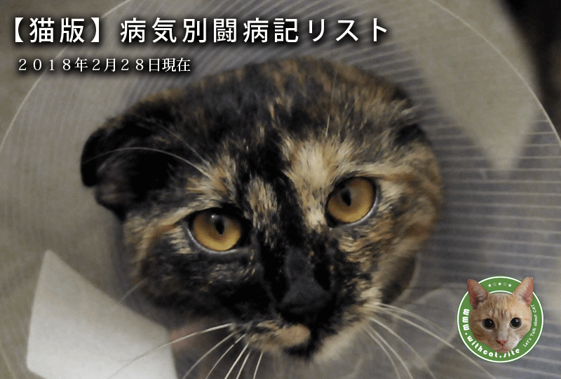 f:id:masami_takasu:20180228121759g:plain