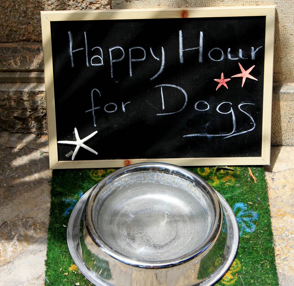 f:id:masami_takasu:20180306010204j:plain