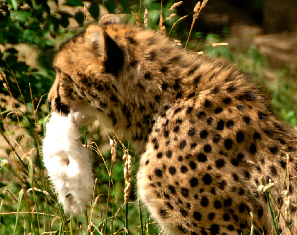 f:id:masami_takasu:20180309155329j:plain