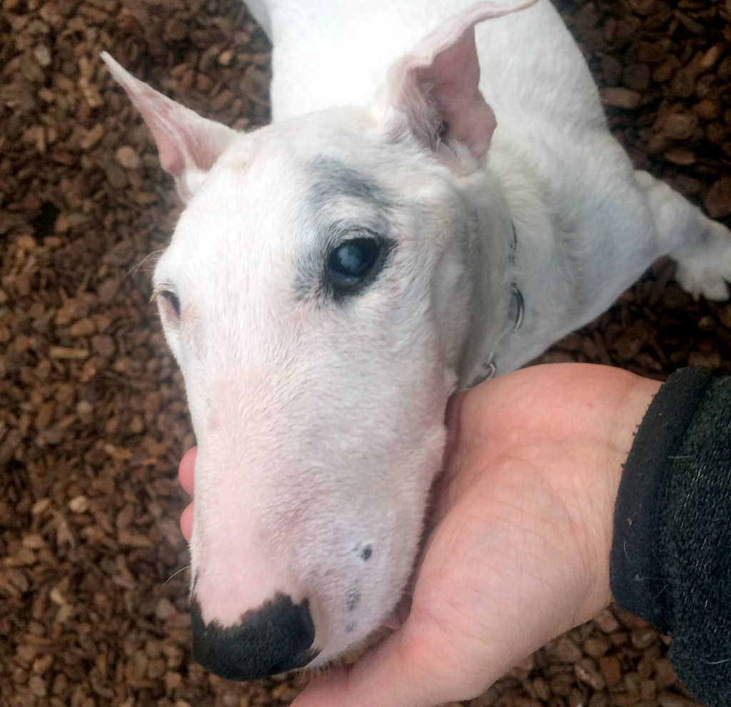 f:id:masami_takasu:20180311165618j:plain