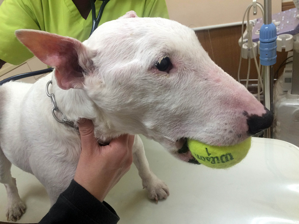 f:id:masami_takasu:20180311170210j:plain