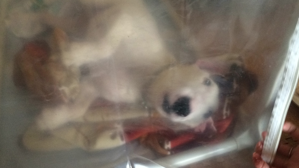 f:id:masami_takasu:20180313010957j:plain f:id:masami_takasu:20180313010957j:plain