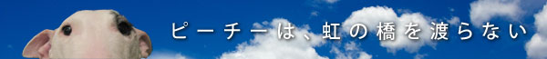 f:id:masami_takasu:20180313123919j:plain