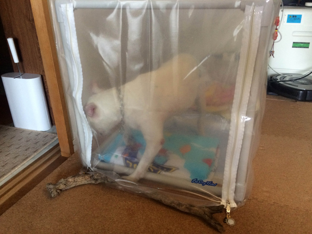 f:id:masami_takasu:20180314161053j:plain