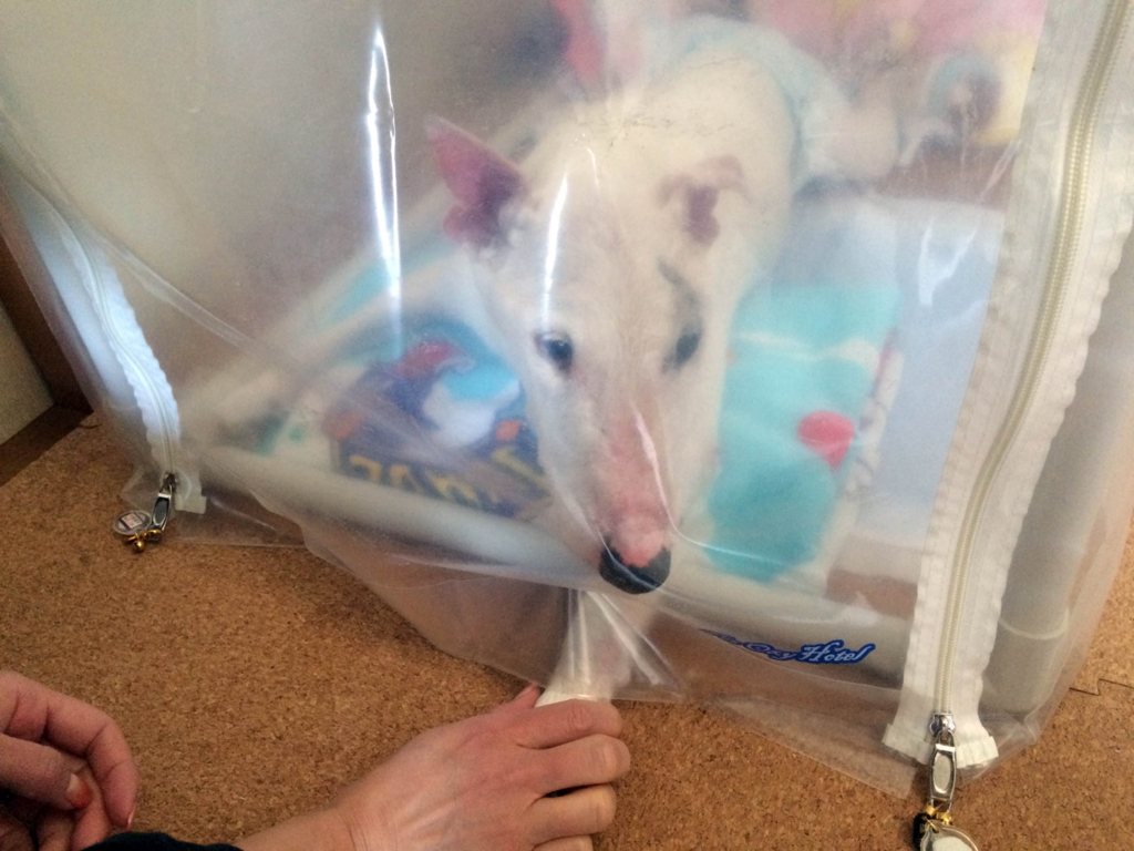 f:id:masami_takasu:20180314161118j:plain