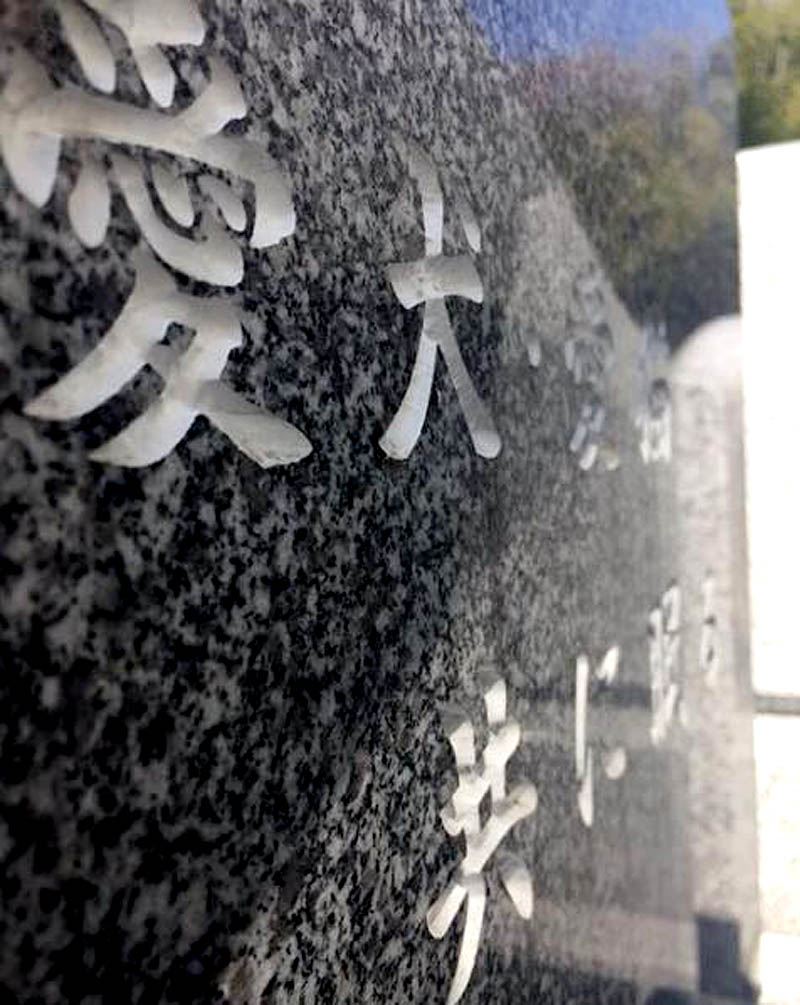 f:id:masami_takasu:20180317111107j:plain