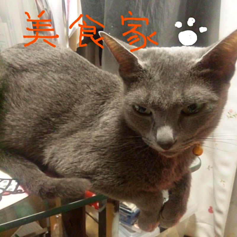 f:id:masami_takasu:20180323174235j:plain f:id:masami_takasu:20180323174235j:plain