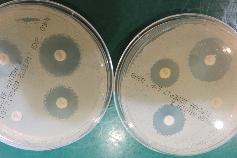 f:id:masami_takasu:20180327230702j:plain