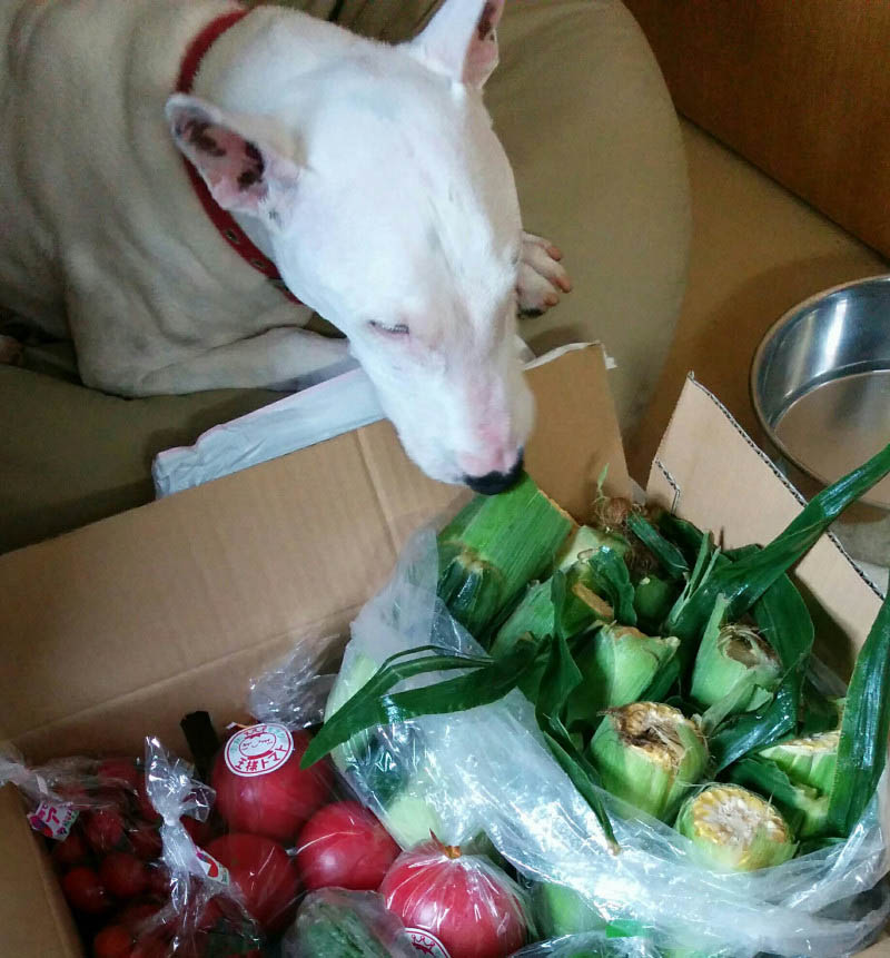 f:id:masami_takasu:20180327231620j:plain