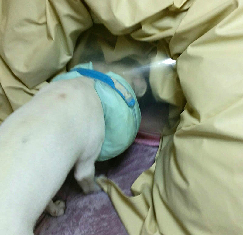 f:id:masami_takasu:20180402122334j:plain