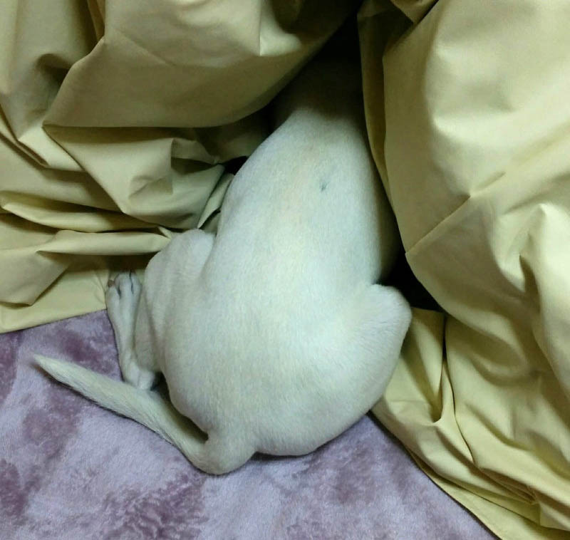 f:id:masami_takasu:20180402122348j:plain