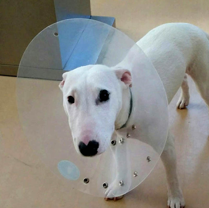 f:id:masami_takasu:20180402123144j:plain