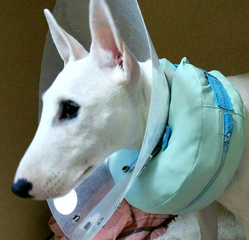 f:id:masami_takasu:20180402123217j:plain