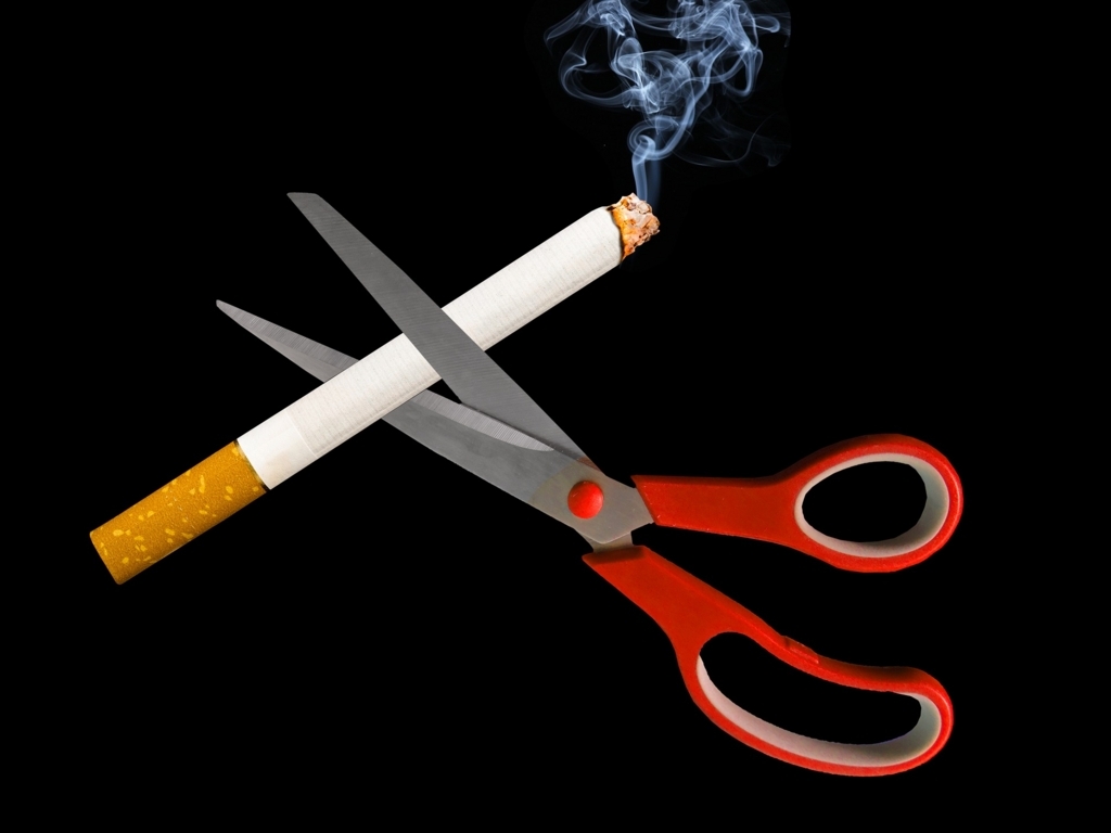 f:id:masami_takasu:20180408064908j:plain