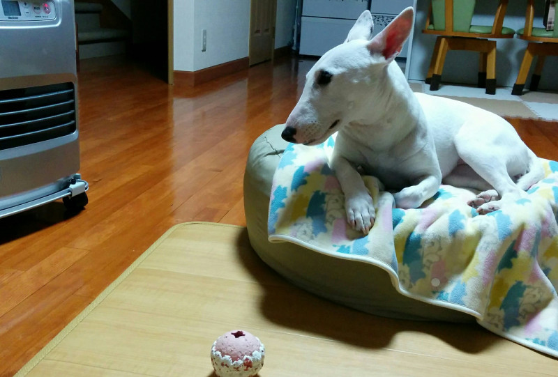 f:id:masami_takasu:20180428175323j:plain