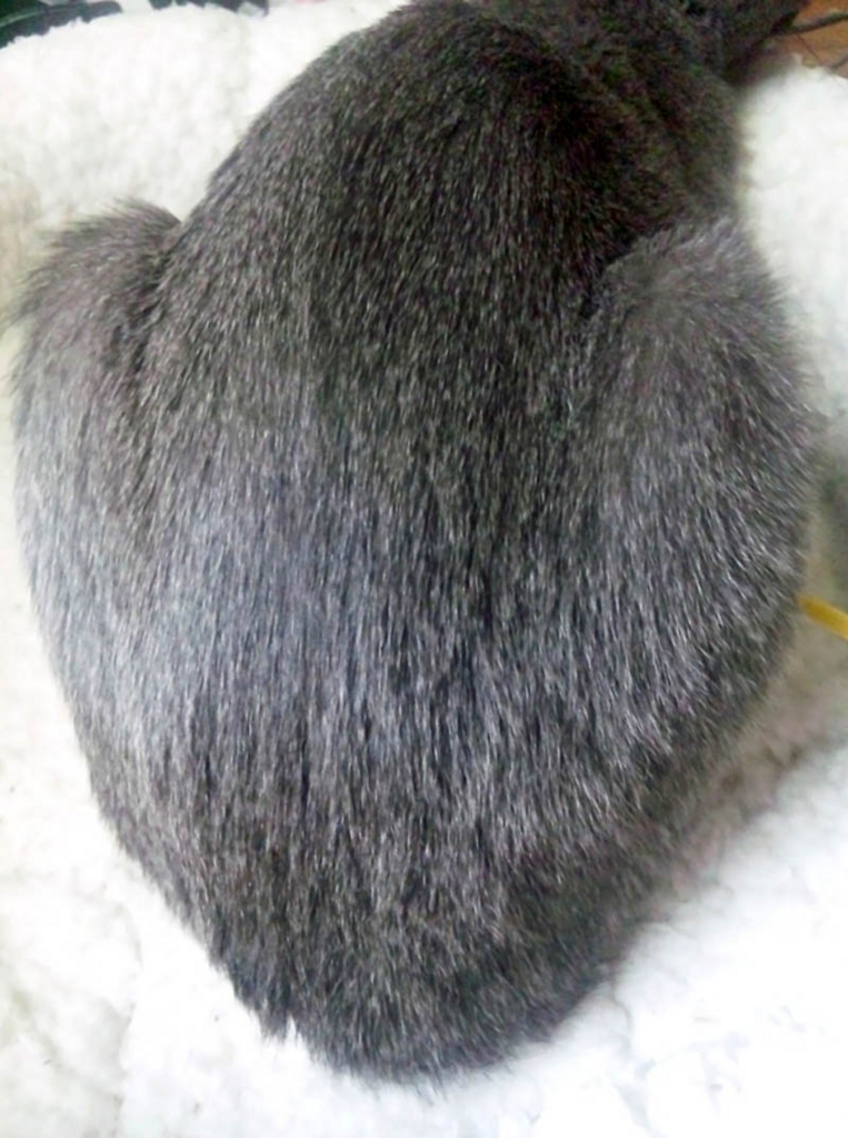 f:id:masami_takasu:20180530184707j:plain