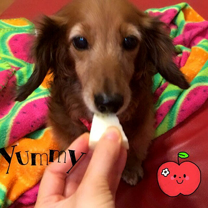 f:id:masami_takasu:20180604174853j:plain f:id:masami_takasu:20180604174853j:plain