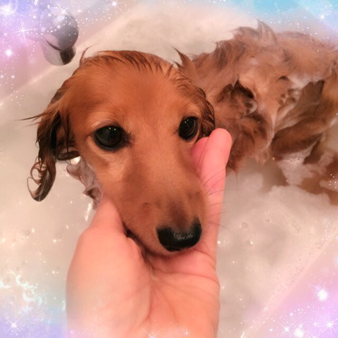 f:id:masami_takasu:20180613141139j:plain