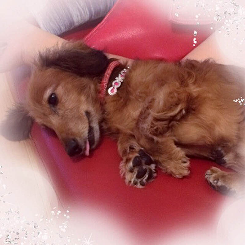 f:id:masami_takasu:20180613143044j:plain