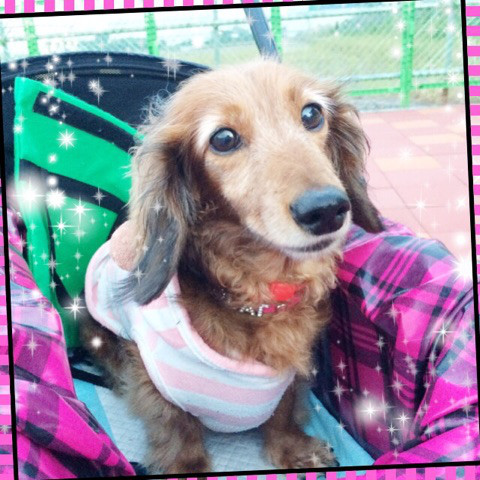 f:id:masami_takasu:20180613143415j:plain