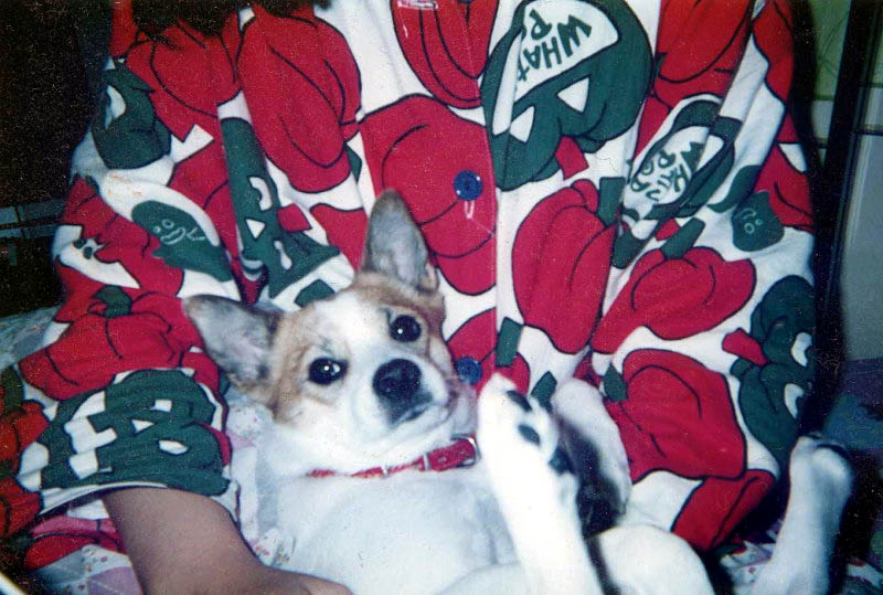 f:id:masami_takasu:20180617134251j:plain