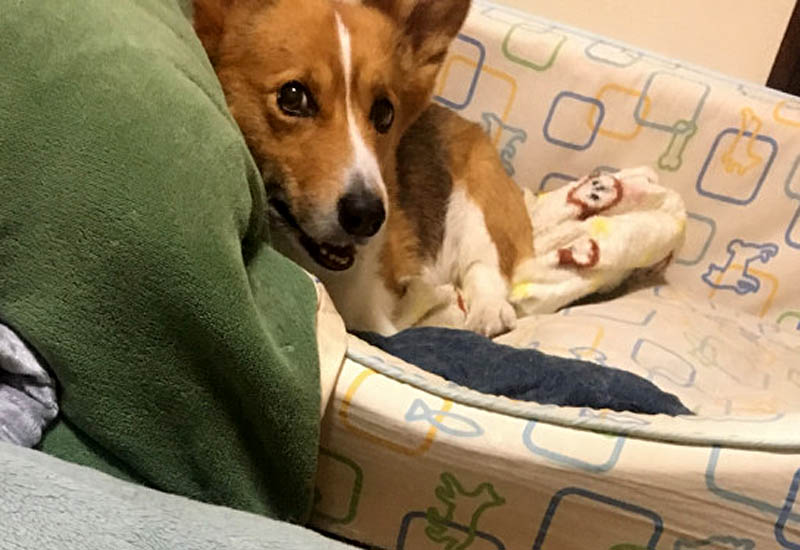 f:id:masami_takasu:20180621102339j:plain