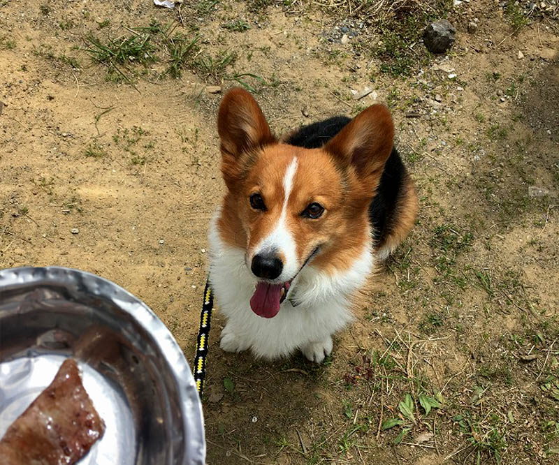 f:id:masami_takasu:20180621113333j:plain