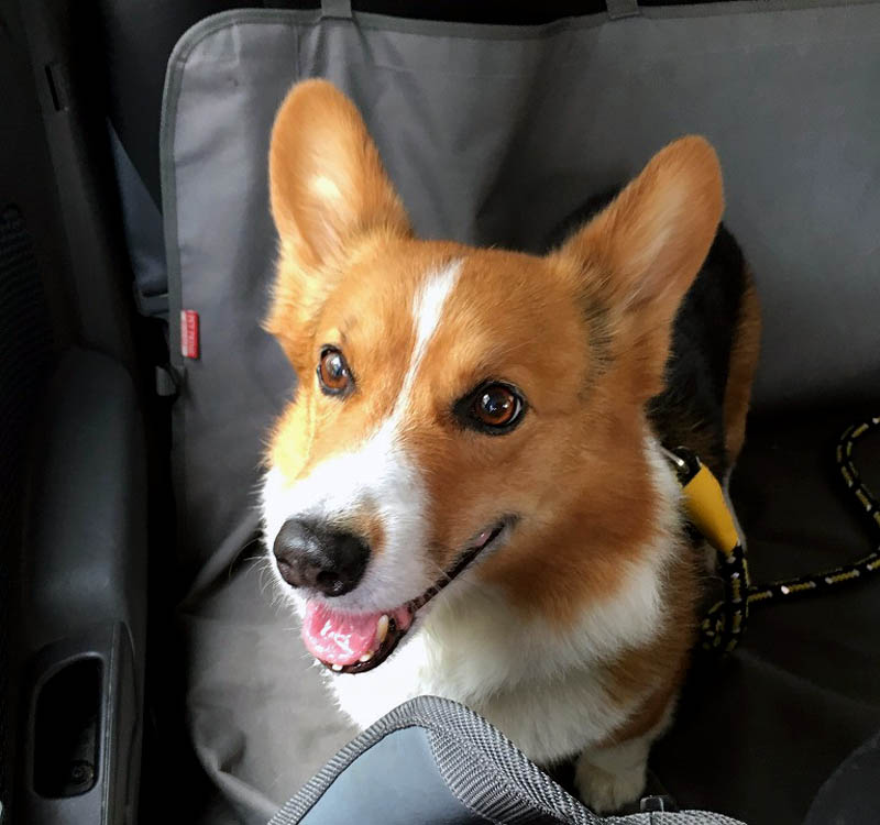 f:id:masami_takasu:20180621114145j:plain