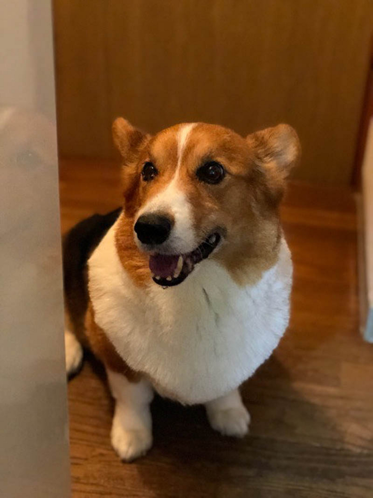 f:id:masami_takasu:20180621114752j:plain