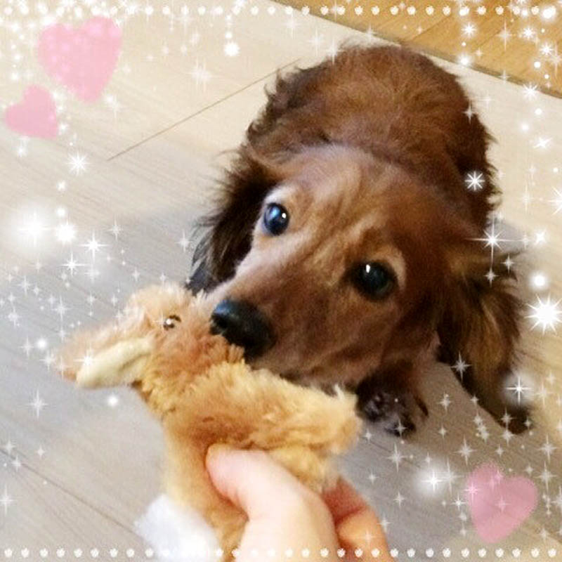 f:id:masami_takasu:20180622185101j:plain f:id:masami_takasu:20180622185101j:plain