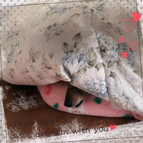 f:id:masami_takasu:20180623011740j:plain