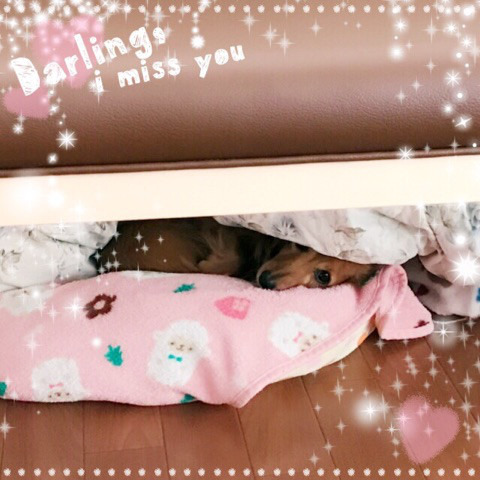 f:id:masami_takasu:20180623011835j:plain