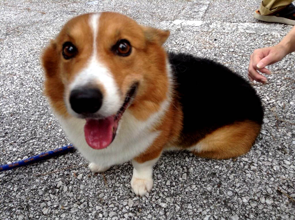 f:id:masami_takasu:20180623130455j:plain