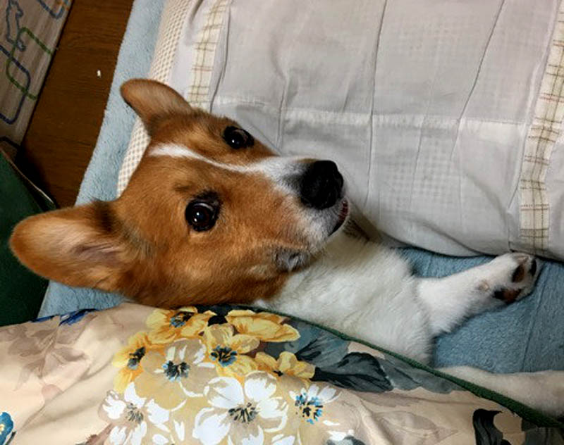 f:id:masami_takasu:20180623131757j:plain