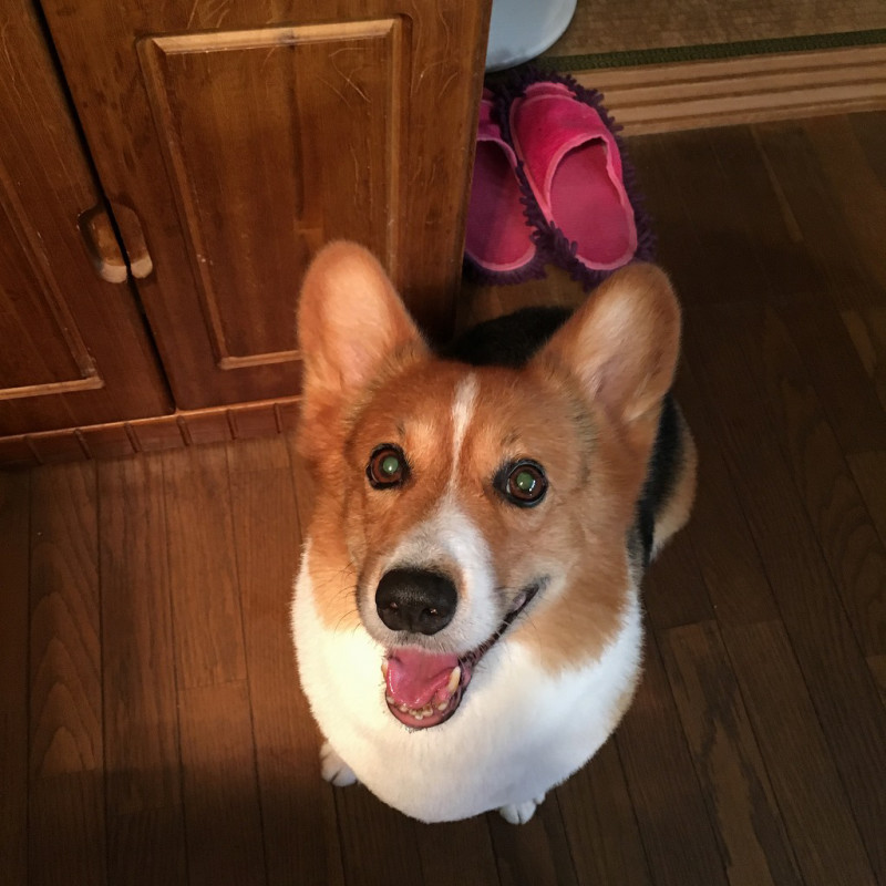 f:id:masami_takasu:20180623132148j:plain